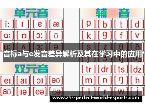 音标a与e发音差异解析及其在学习中的应用